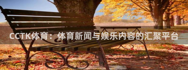 劲爆体育频道节目表：CCTK体育：体育新