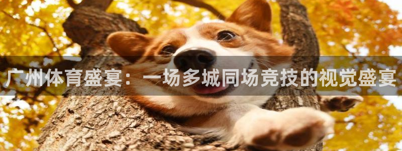 劲爆体育频道在线直播